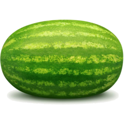 Photo of Watermelon - Whole Kg