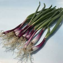 Photo of Onions Purple Bunch Ea