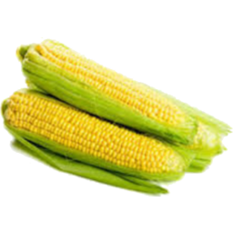 Photo of Corn Sweet P/Pk