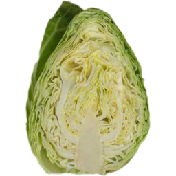Photo of Cabbage Sugarloaf Half