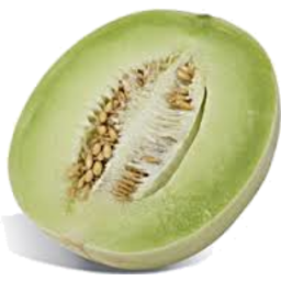 Photo of Melon Honeydew Half