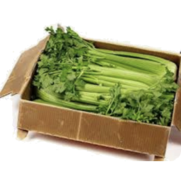 Photo of Celery - Box (8)