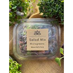 Photo of Large Salad Mix Microgreens