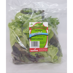 Photo of Thymebank Mixed Lettuce