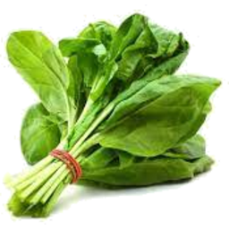 Photo of Spinach Per Bunch