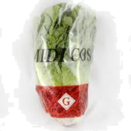 Photo of Lettuce Cos Mini