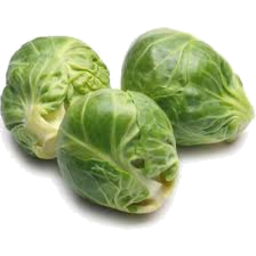 Photo of Brussels Sprouts Conv.*