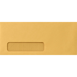 Photo of #10 Envelope With Window - Brown 