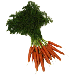 Photo of Carrots Large Bunch