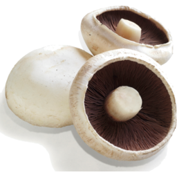 Photo of Mushrooms Flat Punnet