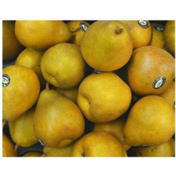 Photo of Pear Taylor Gold Kg