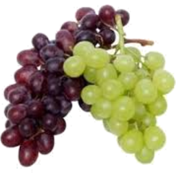 Photo of Grapes Bicolour