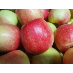 Photo of Apples Pink Lady