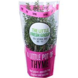 Photo of The Little Fresh Group's Thyme Pot