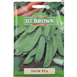 Photo of DT BROWN SNOW PEA SEEDS