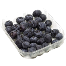 Photo of Blueberries Perfection