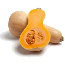 Photo of Pumpkin Butter Nut