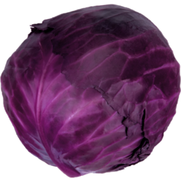 Photo of Cabbage Red Whole Each
