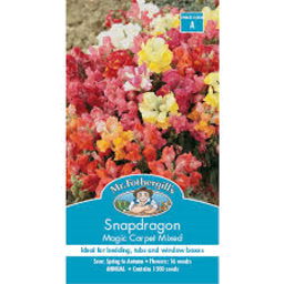 Photo of Mr Fothergills Seeds Snapdragon Magic Carpet A
