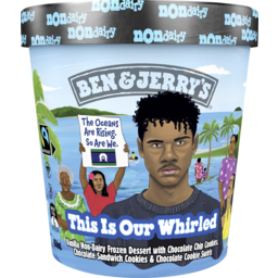 Photo of Ben & Jerry’S This Is Our Whirled Non-Dairy Milk And Cookies 458 Ml 