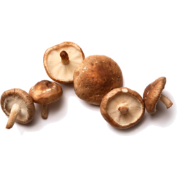 Photo of Mushrooms - Shitake 