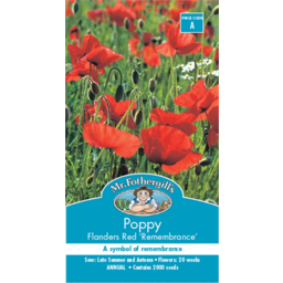 Photo of Seed Poppy Flanders Red A packet