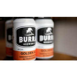 Photo of Burra Brew Gold Ale 6*375