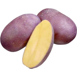Photo of Potatoes Royal Blue KG