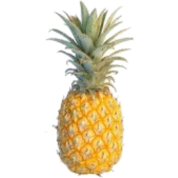 Photo of Pineapple Pre Pack Each