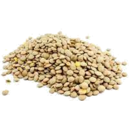 Photo of Organic Green Lentils