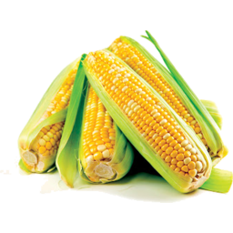 Photo of Corn Sweet Pre Pack