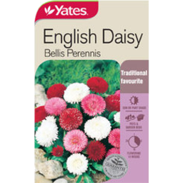 Photo of Yates English Daisy Seed Packet