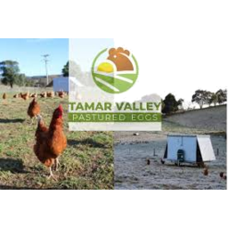 Photo of Tamar Valley Pastured Eggs