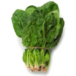 Photo of Spinach Bunch Ea