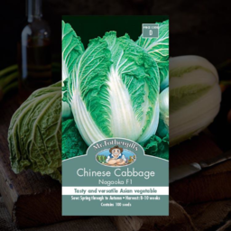 Photo of Mr Fothergill's Chinese Cabbage Nagaoka