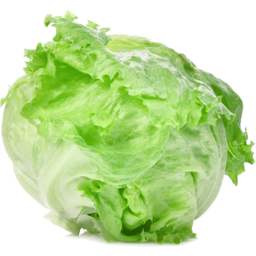 Photo of Lettuce Bagged Iceberg 