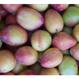 Photo of Greengage Plums