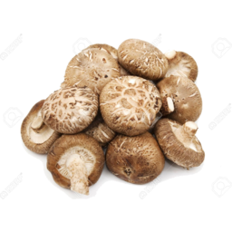 Photo of Mushrooms Shitake