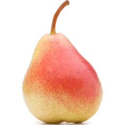 Photo of Pears Carmen Kg