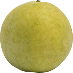 Photo of Pears Nashi Organic