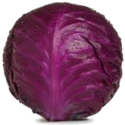 Photo of Cabbage Red Whole