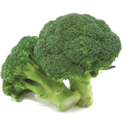 Photo of Broccoli Kg