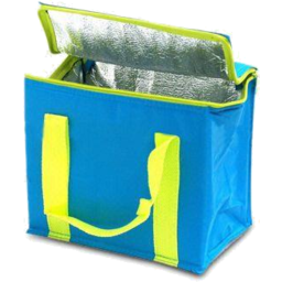 Photo of Snazzee Cooler Bag