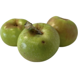 Photo of Apples - Pippin
