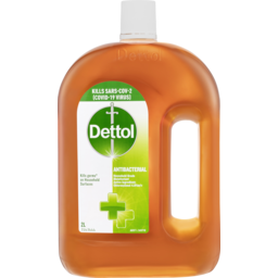 Photo of Dettol Antibacterial Household Grade Disinfectant