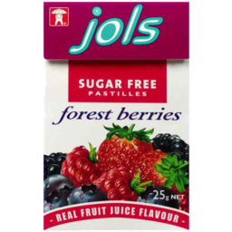 Photo of Jols Sugar Free Pastilles Forrest Berries 25g