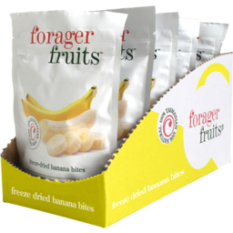 Photo of Forager Fruits Banana 15gm