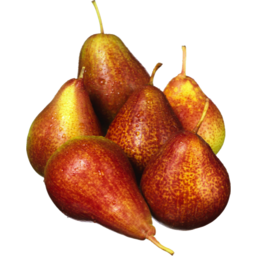 Photo of Pears Corella/Forelle