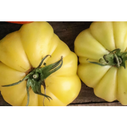 Photo of Tomato Monte Rosa Yellow / Kg