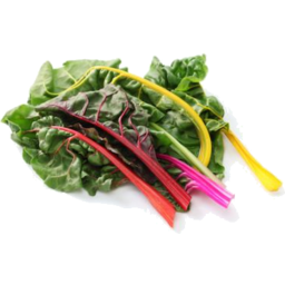 Photo of Rainbow Chard Bunch Organic